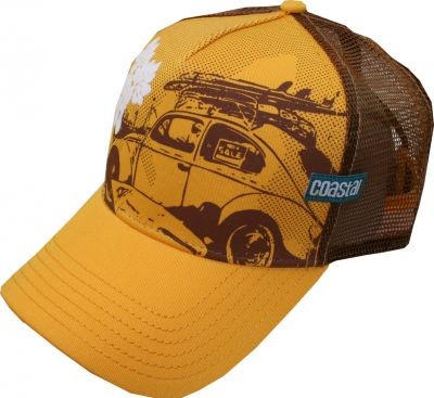 Coastal Cap Beetle Sun yellow